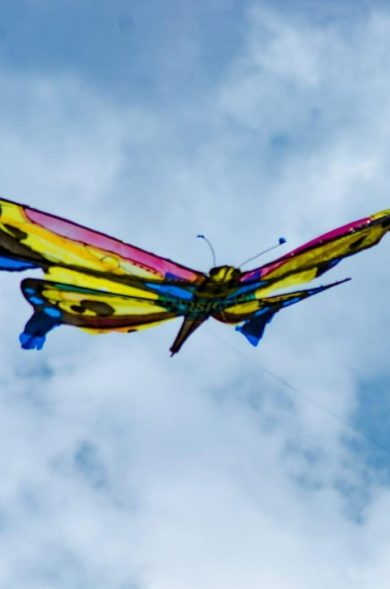 289569706_934747847926417_6814763862463061152_n