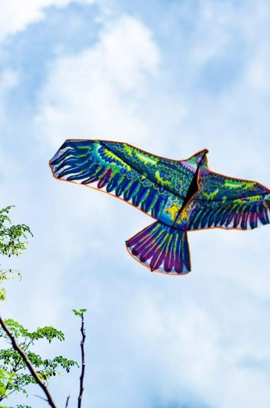 289783396_934748477926354_2696029172081578049_n