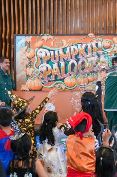 FInisterre Batch 1-46