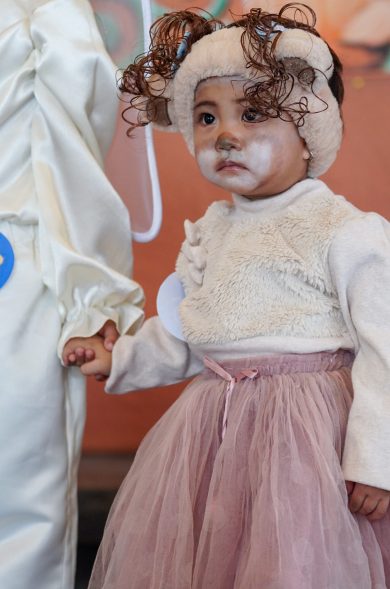 FInisterre Batch 2-25