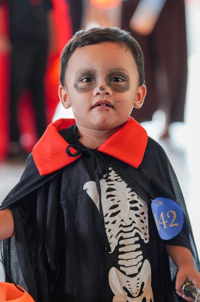 FInisterre Batch 2-26