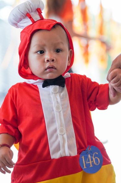 FInisterre Batch 2-27