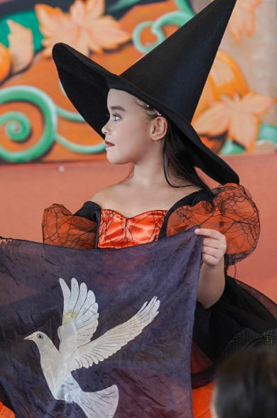 FInisterre Batch 2-60