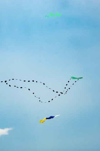 Kite Flying 2023 (28)